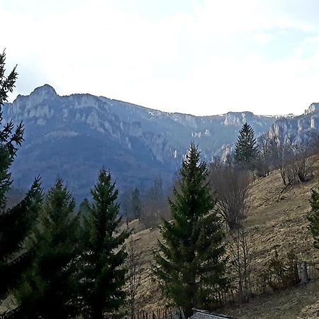 Отель Pensiunea Bobu Извору-Мунтелуй Экстерьер фото