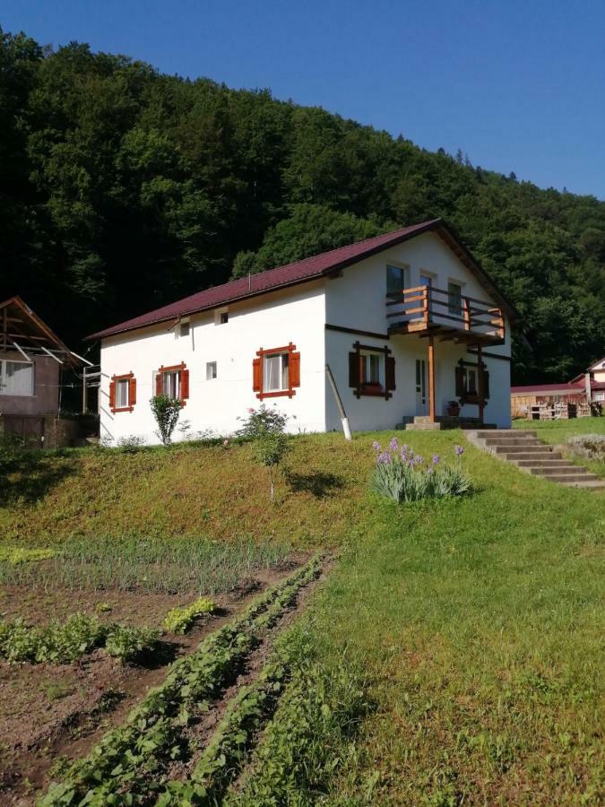 Отель Pensiunea Bobu Извору-Мунтелуй Экстерьер фото